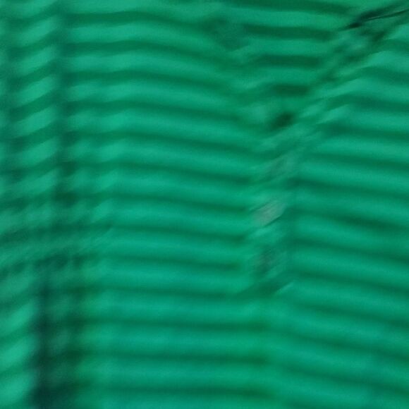 Ella Moss Emerald Striped Short Sleeve Top - Picture 3 of 7